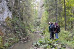Jarabina (jarabinský prielom), pieninský úsek Braslového pásma, czorsztynská sukcesia…