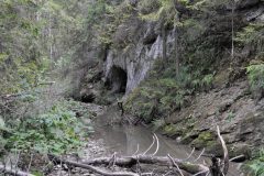 Jarabina (jarabinský prielom), pieninský úsek Braslového pásma, czorsztynská sukcesia…