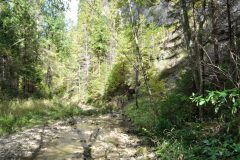 Jarabina (jarabinský prielom), pieninský úsek Braslového pásma, czorsztynská sukcesia…