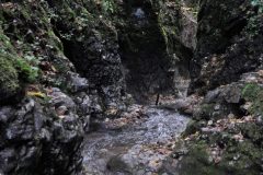 Jarabina (jarabinský prielom), pieninský úsek Braslového pásma, czorsztynská sukcesia…