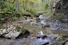 Jarabina (jarabinský prielom), pieninský úsek Braslového pásma, czorsztynská sukcesia…